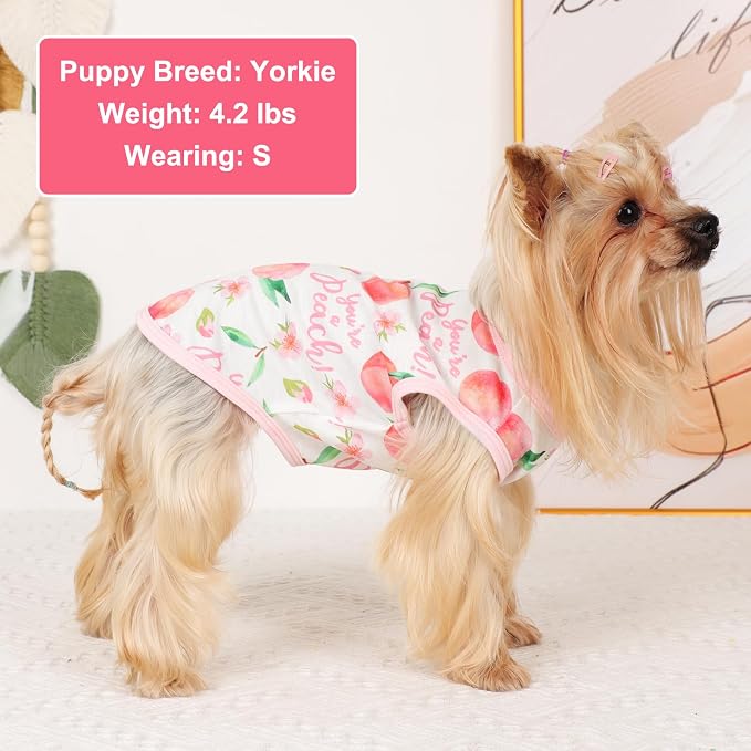 Dog Shirt Vest Dog Clothes for Small Dogs Boy Girl Stretchy Summer Puppy T-Shirts Soft Breathable Lightweight Puppy Sweatshirt Pet Cat Outfit (Peach, Small)