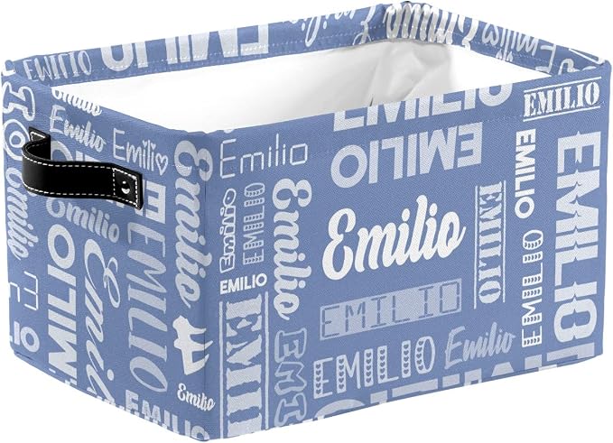 Personalized Toy Box Storage Bins for Boys Girls with Name, Kids Custom Storage Basket Cubes Organizer with Handles, Shelf Closet Storage Baskets Bin Customized Gift, 1 Pack