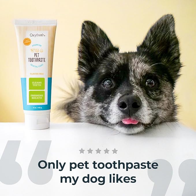 Oxyfresh Professional Cat & Dog Toothpaste, Teeth Cleaning Gel for Plaque, Tartar & Bad Breath, Vet-Approved Pet Dental Care, 4 oz