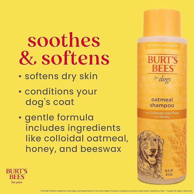 Burt’s Bees for Pets Oatmeal Dog Shampoo with Honey, Soothing Dog Shampoo for Itchy and Sensitive Skin, pH Balanced Formula that Gently Cleans and Moisturizes Dog Coats, 16 Fl Oz - 2 Pack