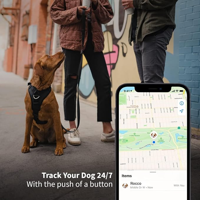 SÄKER - 2 Pack IP68 Waterproof The Safest Dog Collar Holder Compatible with Apple AirTag, Dustproof, Durable, Fits Up to 1.5" Collars | Will Not Damage Your Collar | Perfect Way to GPS Track Your Dog