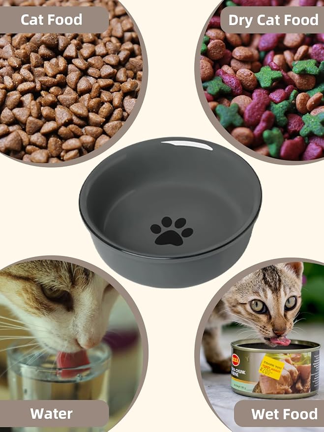 GDCZ Ceramics Raised Cat Bowls with Heighten Metal Stand,15 Ounces (Grey)