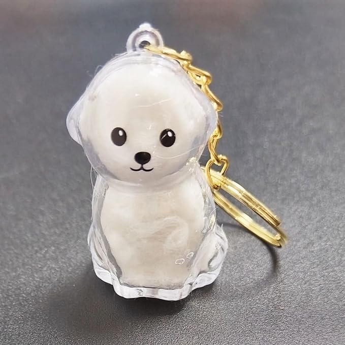 Cute Dog Hair Keychain Transparent Pet Fur Keepsake with Tweezer | Portable Dog Fur Keychain DIY Pet Hair Memorial Keepsake Dogs Hairs Collector Charm Storage Box, Dogs Lover Collecting Gifts