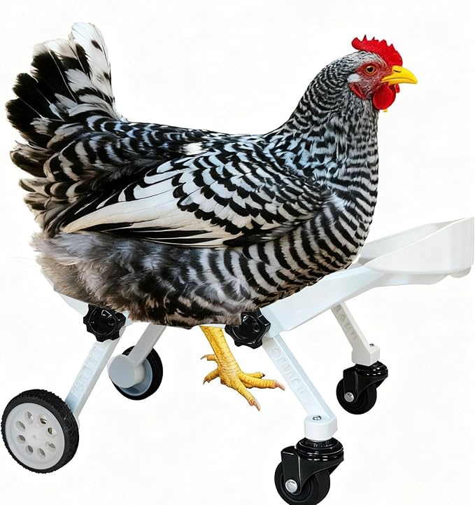 Adjustable Small Scale Pet Chicken Wheelchair,Small Pet Mobility Aid Cart | mall Pet Poultry Mobility Aid Cart, Adjustable Size for Comfortable Use, Supports Injured/Disabled Poultry to Move Freely