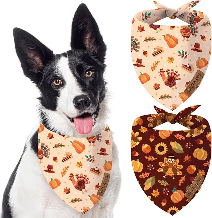 Thanksgiving Fall Dog Bandanas, 2-Pack Triangle Reversible Turkey Pumpkin Pet Scarves, Premium Fabric, Bandana for All Boys Girls Dogs (X-Large, Style 2)