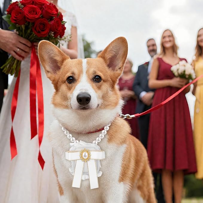 UKCOCO Dog Ring Bearer Collar with Box – 11.8" Pearl Ring Holder, Velvet-Lined Secure Clasp, Lace & Pearl Wedding Prop for Small Dogs & Cats