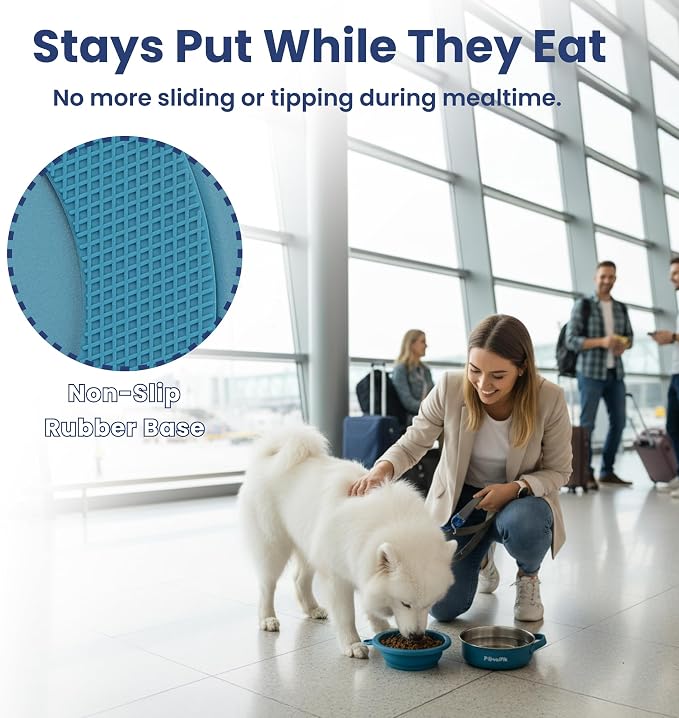 PawsPik 2-in-1 Travel Dog & Cat Bowl – Collapsible BPA-Free Silicone | 18/8 Stainless Steel, Portable & Non-Slip with Handle, Easy to Clean, Food & Water Bowl for On-the-Go Pets