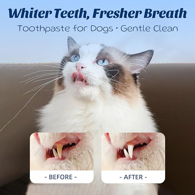 Dog Toothpaste with Toothbrush Kit - Coconut Chicken Flavor Pet Dental Care, Plaque Tartar Remover, Fresh Breath, Easy Brushing No Resistance for Dogs Cats, 2.1oz