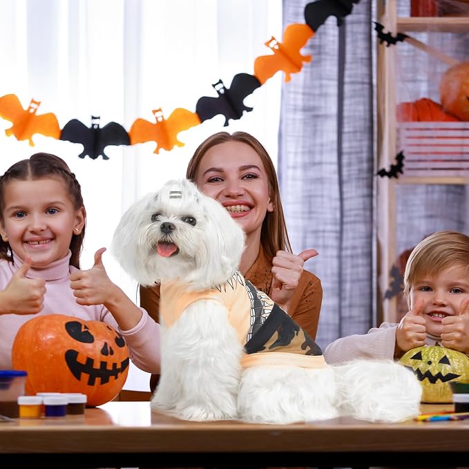 BINGPET Dog Halloween Shirt, Gunner Funny Dog Halloween Costumes Puppy Tshirt, Breathable Sleeveless Tank Top Vest & Sweatshirt for Small Medium Dogs Cats (S)