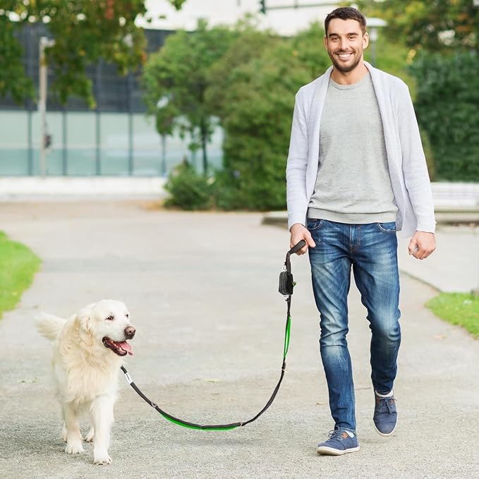 Dog Poop Bag Holder with Dispenser & Storage Pouch - Includes Adjustable Reflective Dog Leash (6FT Bungee, Padded Handles) - Durable Leash for Walking, Training & Travel (Aqua)