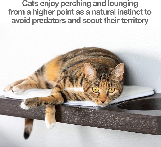 PetFusion Cat Activity Wall Shelves, 3 Piece Set, Wall Mount | Sisal Surfaces for Scratching and Plush Pad to Lounge, Neutral Design and Color Tones