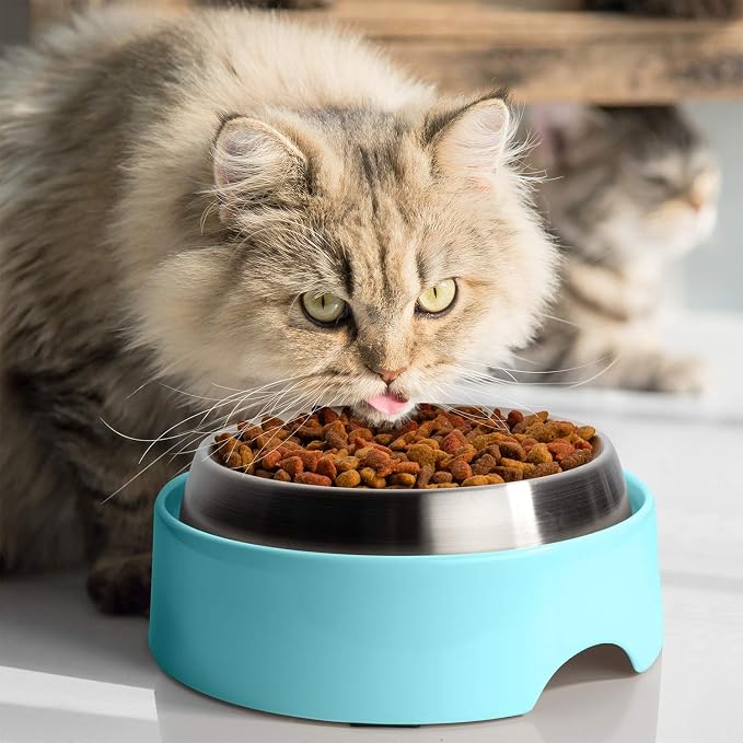 CatGuru Food Table for Cat Bowls, Elevated Feeding Station for Cat Food Bowl, Raised Stand for Pet Food and Water Bowls, Pet Feeder for Indoor Cats, Stress Free Stand for Pet Dishes or Plates (Aruba)