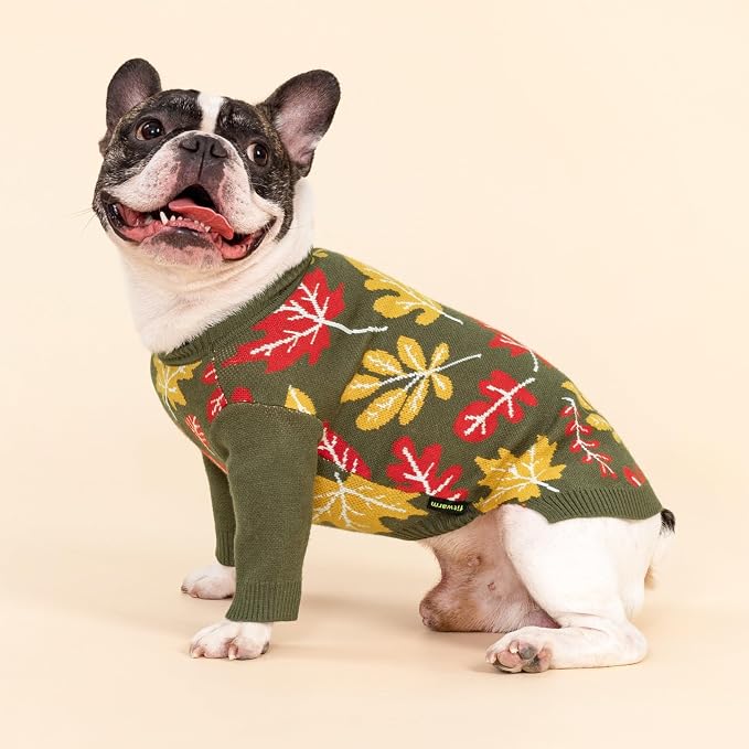 Fitwarm Maple Dog Sweater, Thermal Dog Winter Clothes for Small Dogs Boy Girl, Fall Pet Outfit, Red, Yellow, White, Olive Green, XS