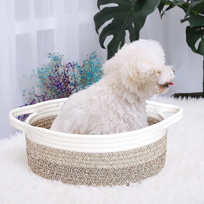 ABenkle Small Basket with Handles, Boho Decorative Rope Woven Dog Cat Toy Storage Bin Shelf Storage Organizer, Easter Christmas Gift Basket, 12"x8"x5"
