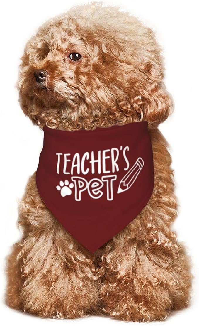 Teacher's Pet Dog Bandana,Funny Bandana Gift,Photo Prop Accessories for Dog Lovers Owner Gift,Triangle Reversible Fall Scarf, Adjustable (Red)