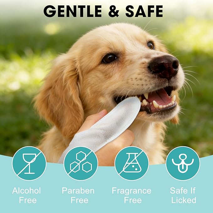 Dog Teeth Cleaning Wipes, Pet Dental Cleaning Finger Wipes Tooth Brushing Kit for Dogs Cats Remove Plaque Tartar Bad Breath Ear Wax, 50 Pcs Dog Healthy Mouth Tooth Wipes for Pets Daily Care, Coconut