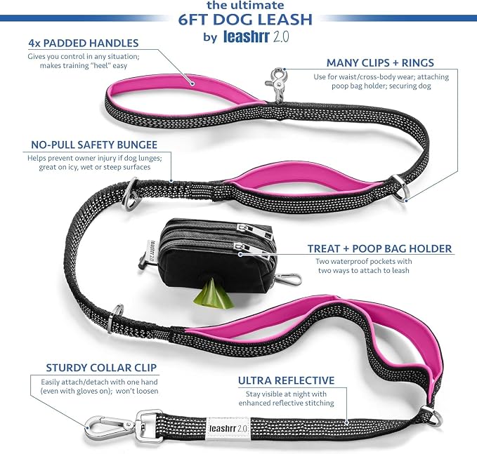 Dog Poop Bag Holder with Dispenser & Storage Pouch - Includes Adjustable Reflective Dog Leash (6FT Bungee, Padded Handles) - Durable Leash for Walking, Training & Travel (Aqua)