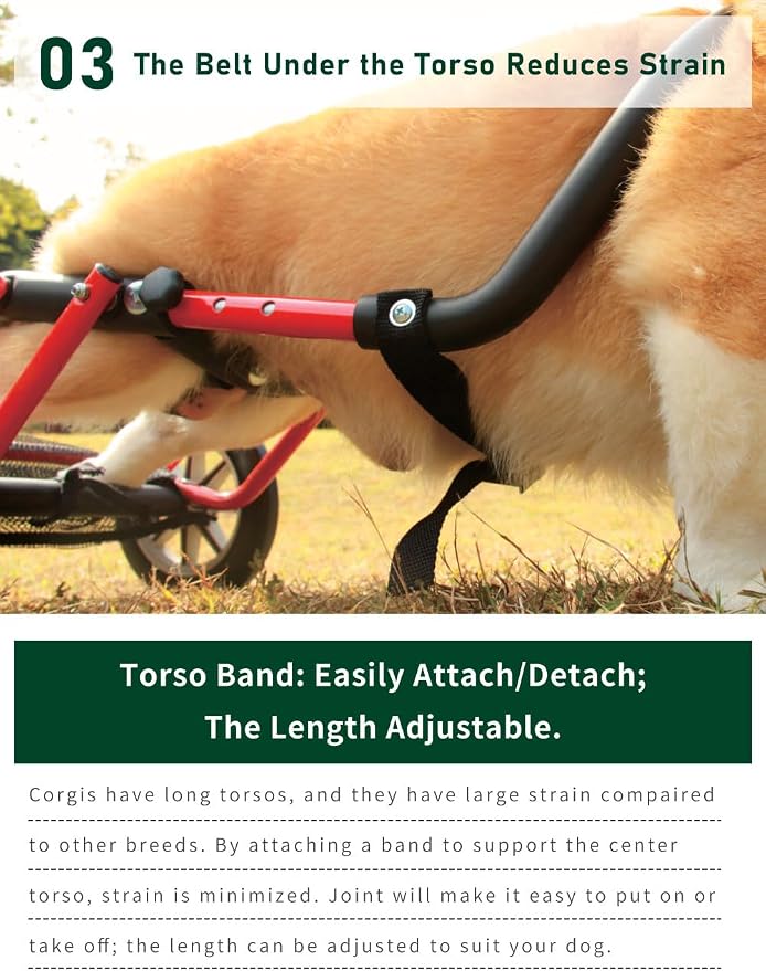PaletteLife Corgi Dog Wheelchair for Back Legs, Adjustable Dog Cart with Wheels, Lightweight Rear Leg Mobility Support for Disabled, Injured & Senior Dogs