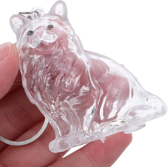 Hemoton Cat Fur Keepsake Keychain Transparent Cat Shape Pet Hair Keepsake Box Keychain with Lid Portable Memorial Keyring for Storing Pet Hair Souvenirs at Home or While Traveling