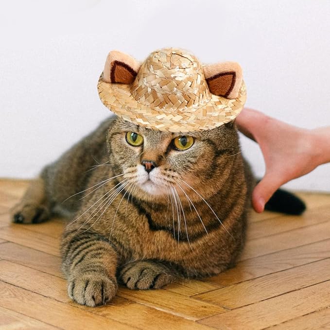 Cat Ear Straw Hat Decorative Pet Headwear for Birthday Parties | Khaki, S 13cm Size, Safe Comfortable Fit, Adorable Holiday Accent