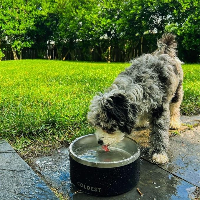 Coldest Dog Bowl - Anti Rust Metal, Non Slip, 3 Layers Insulated Stainless Steel Dog Bowls - Spill Proof & Heavy Duty - Water Bowl for Dogs, Cats & Pets, Dish Washer Safe (200 oz, Stealth Black)