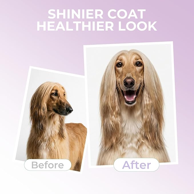 2-in-1 Dog Shampoo and Conditioner, Probiotic Pet Shampoo for Moisturizing & Detangling, Smooths Dry, Frizzy Coats, Dog Grooming Shampoo for Long and Short-Haired Coat Care, 17oz, 2-Pack