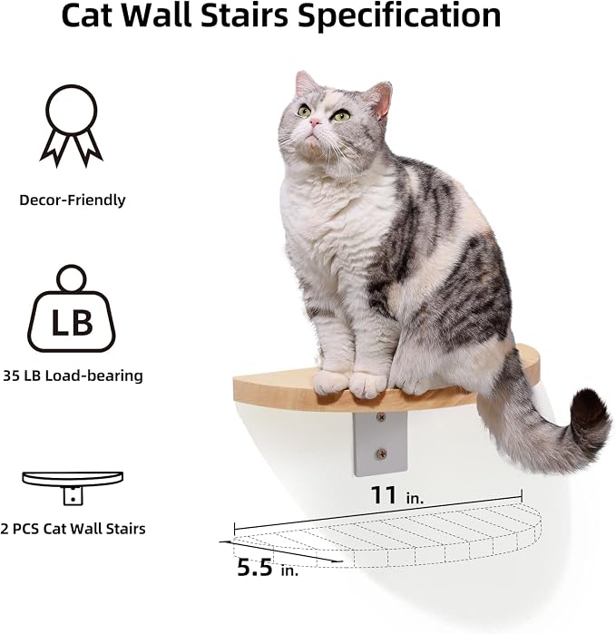 FUKUMARU Cat Wall Furniture Set, Transparent Capsule with 2 PCS Pedals | Kitten Walls Shelves, Premium Kitty Bed, For Sleeping, Playing, Climbing, Lounging, Holds Up to 35 Lbs