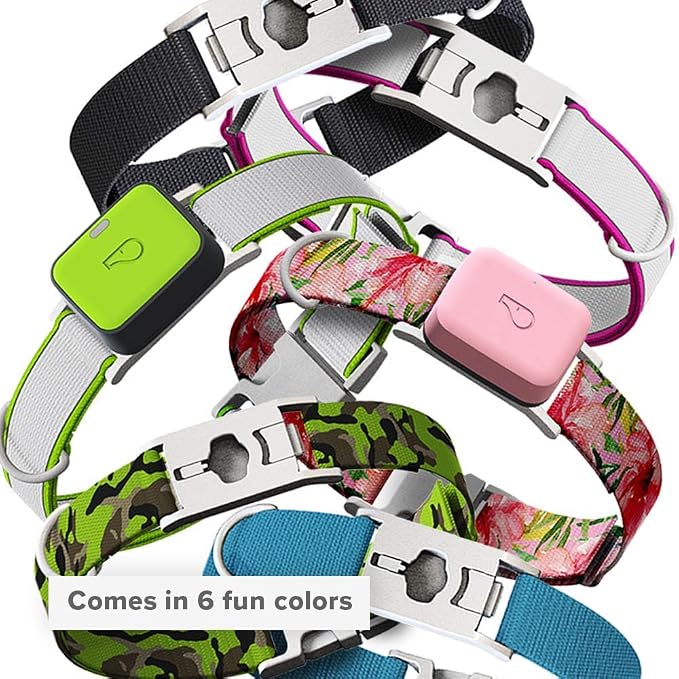 Whistle GO/GO Explore/Twist & Go Pet Collars/Whistle Camo/Small-Medium