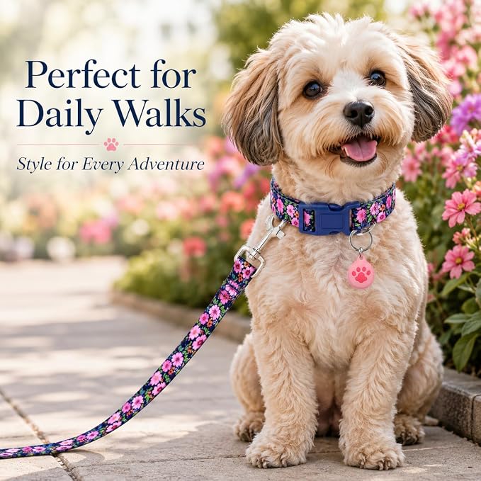 Floral Matching Dog Collar and Leash Set with AirTag Holder-Daisy/S | Anti-Lost,Adjustable Durable Pet Collar Leash Combo for Small Boy Girl Dogs,for Outdoor Walking Hiking Training Running