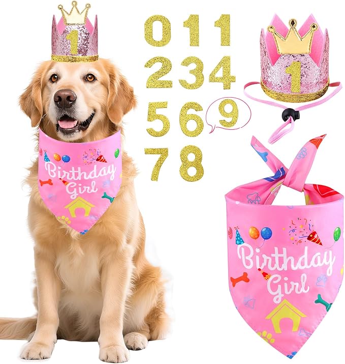 Rensh Dog Birthday Party Supplies, Dog Birthday Bandana Hat with Numbers for X-Large Large Small Pets, Multi Size Birthday Decorations for Dogs and Cats (Pink, X-Large)