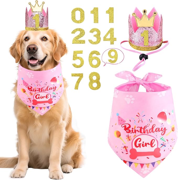 Rensh Dog Birthday Party Supplies, Dog Birthday Bandana Hat with Numbers for X-Large Large Small Pets, Multi Size Birthday Decorations for Dogs and Cats (Pink, Large)