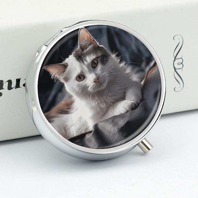 Pill Box Portable The Pet on The Mattress Pill Case Cute Pill Organizer for Vitamins Supplements