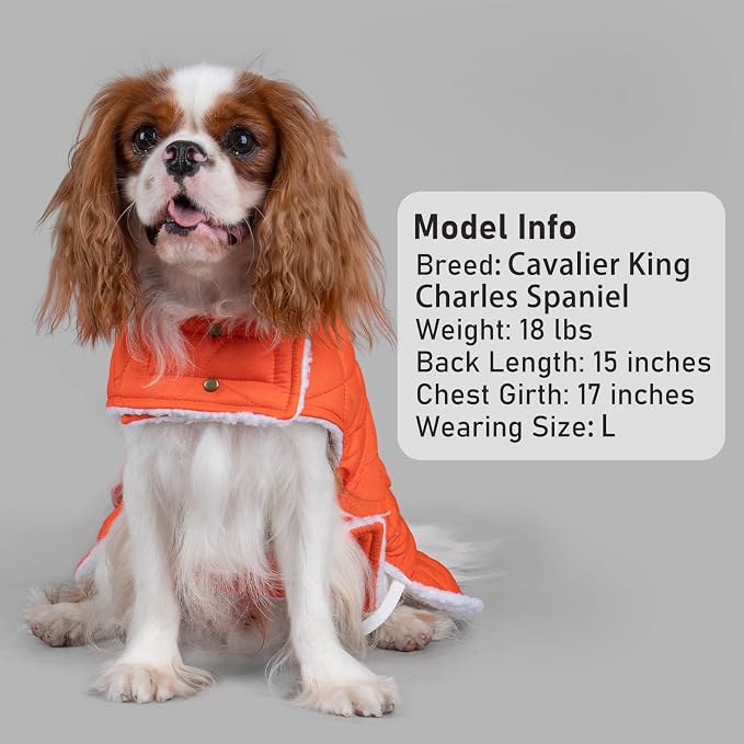KYEESE Waterproof & Windproof Dog Coat for Large Dogs Puffer Jacket