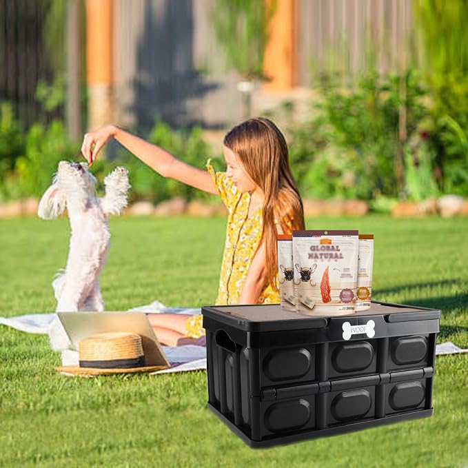 Outdoor Dog Toy Bin wtih Handles,Collapsible Dog Stuff Organizer Portable,Pet Storage Basket with Wood Cover for Dog Toys/Snack/Camping Essentials,Ideal for Car Trunk,RV Trip,Picnic-Black