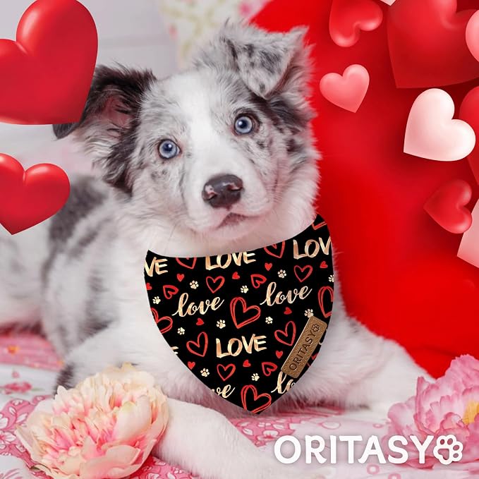 Valentines Day Dog Bandanas, 2-Pack Triangle Reversible Love Pet Scarves, Premium Fabric Bandana (Large, Style 2)