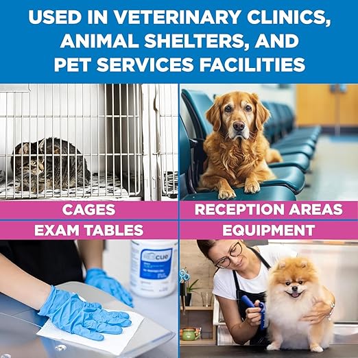 REScue One-Step Disinfectant Cleaner & Deodorizer Wipes for Vet Use – Cleaner for Kennels, Litter Boxes, Vet Offices, Pet Grooming Surfaces, Pet Items – Wipes Canister, 160-Count (4 Pack)