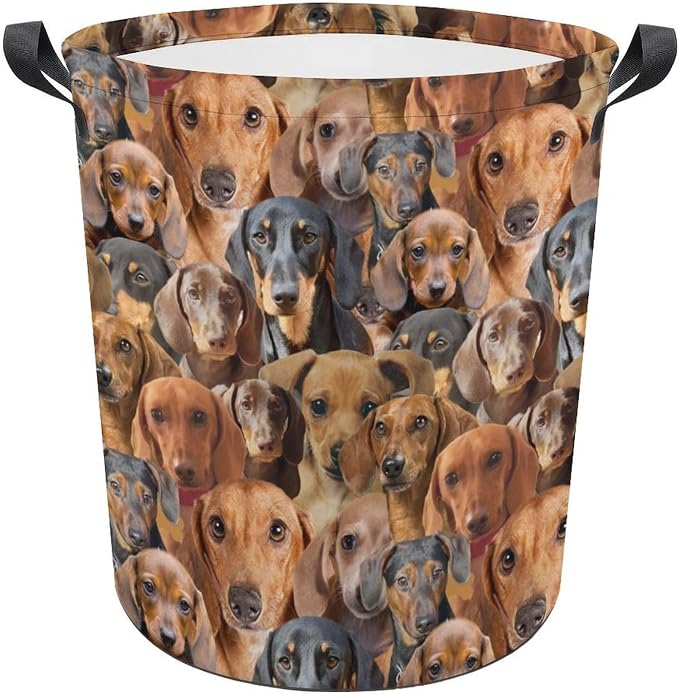 Dauchson Dog Lover Gifts, Dauchson Dog Print Laundry Basket Large Laundry Hamper, Waterproof Dirty Clothes Hamper, Funny Dauchson Dog Laundry Baskets with Handles for Bedroom Bathroom