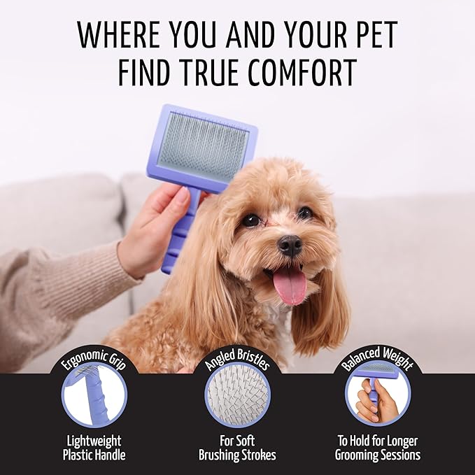 Tauro Pro Line Deshedding Slicker Brush for Dogs & Cats, Soft Pins for Gentle Dematting & Detangling, Grooming Tool for Short Coats, Ideal for French Bulldogs , Non-Slip Grip, Purple, Large Size (L)