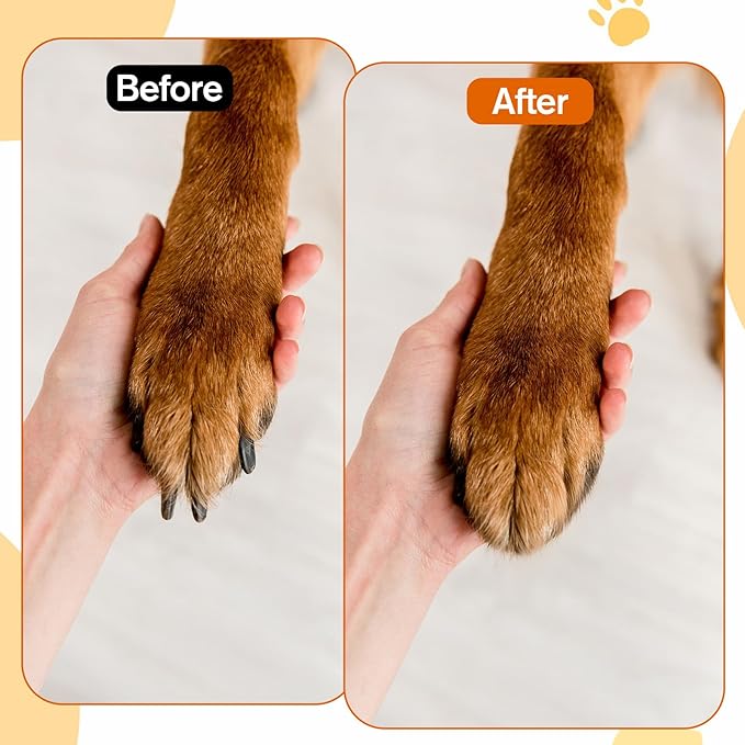 Dog Nail File with Replaceable Filing Disc Dog Nail File Scratch Board Replaceable Sandpaper Stress Free Nails Filing Dogs Trainning Accessories for Smooth and Healthy Nails