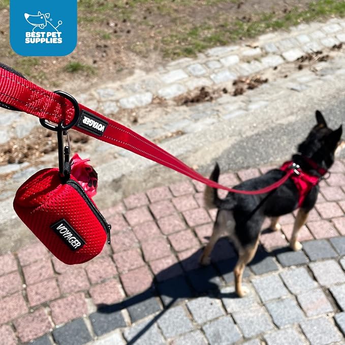Best Pet Supplies Dog Poop Bag Holder Leash Attachment with Reusable Dispenser for Travel, Walking, Park, and Outdoor Use, Durable with Clip-On - Lime Green, Pack of 2, Mesh Dispenser w/30 Bags