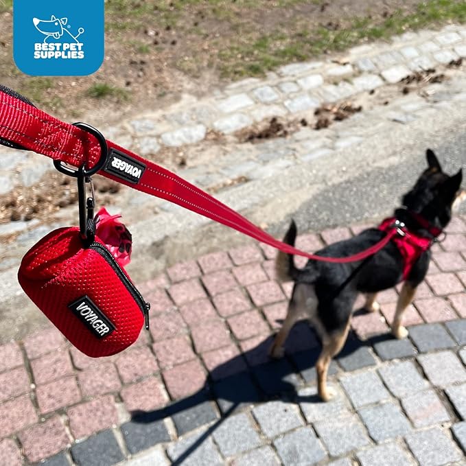 Best Pet Supplies Dog Poop Bag Holder Leash Attachment with Reusable Dispenser for Travel, Walking, Park, and Outdoor Use, Durable with Clip-On - Black, Pack of 2, Mesh Dispenser w/30 Bags