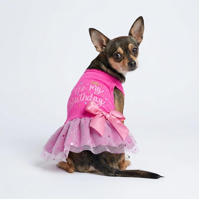 Fitwarm It's My Birthday Dog Dress, Dog Birthday Dress with Bowknot, Dog Clothes for Small Dog Girl, Funny Dog Clothes, Female Pet Outfit, Pink, Medium