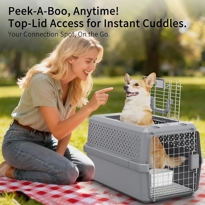 Hard-Sided Pet Carrier: Portable Travel Crate for Medium Pets | Secure Metal Locking Door / 360° Ventilation Panels / Spacious for Medium Pets / Top Carry Handle / Lightweight Durable Shell