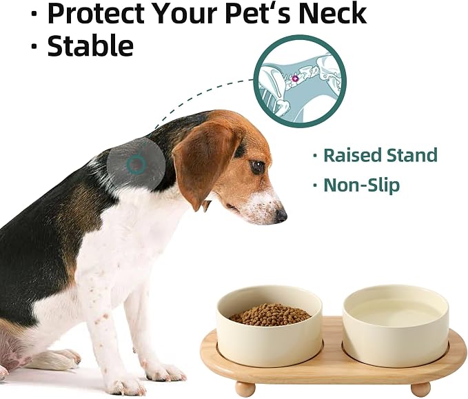 Havniva Raised Cat Bowl, 6.1” Elevated Ceramic Cat Food and Water Bowl Set | Cat Bowls Elevated, Whisker Friendly Cat Bowl, Non-Slip Wood Stand, Food-Grade Ceramic, Wide Opening, Dishwasher Safe