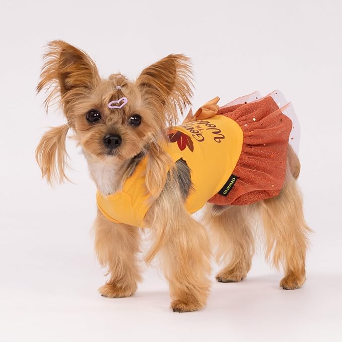 Fitwarm Gobble 'til You Wobble Dog Dress, Funny Thanksgiving Outfit for Small Dogs Girl, Festive Pet Clothes, Yellow, Orange, Large