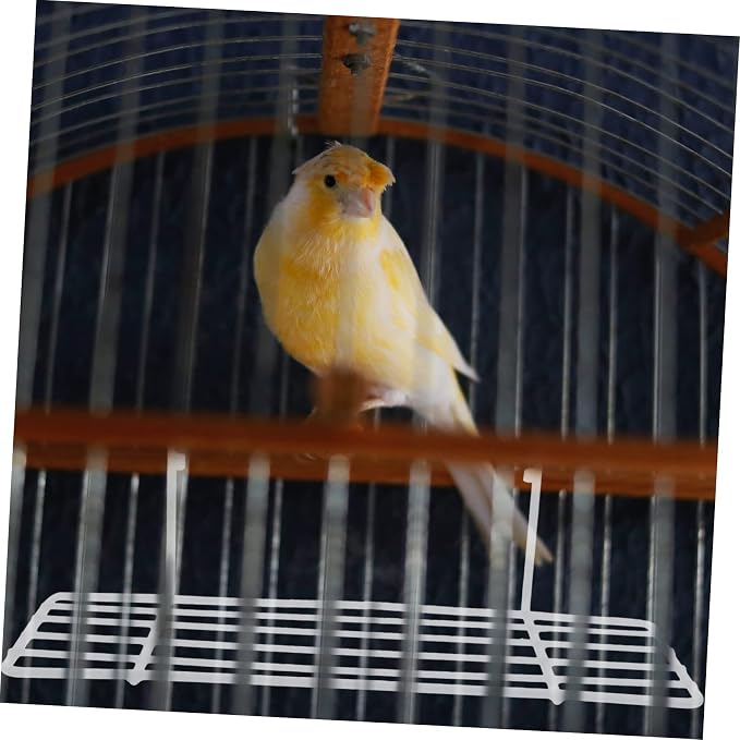 Mipcase 2pcs Wall Frame Bird Stand for Parrots Perch for Multiple Birds Display Shelf for Plants Impact-Resistant Design and Accessories
