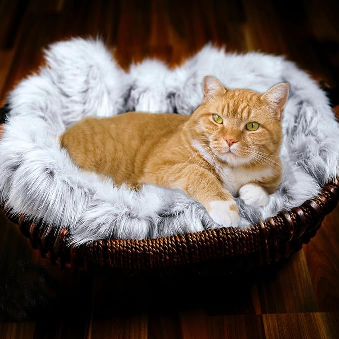 Fluffy Cat Bed Mat 19.6"x31.4" Furry Small Dog Cats Cushions for Indoor | Grey Faux Fur Fuzzy Puppy Pads for Pet Sleep