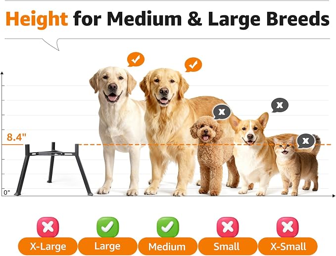 LOOBANI Elevated Dog Bowl Stand Adjustable 8.2"-11" Width for Large Seniors | for Senior & Arthritic Dogs, Reduces Neck Strain, Non-Slip Rubber Feet, Rust-Proof Stand, Easy Clean