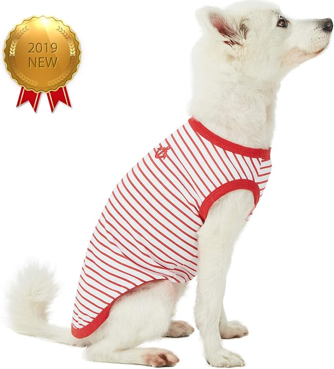 Blueberry Pet Soft & Comfy Summer Vacation Beach Cotton Dog T-Shirts, 2 Pack, Sea Lover Girl Power Shirts Tank Top Clothes, Back Length 10", for Small Dogs