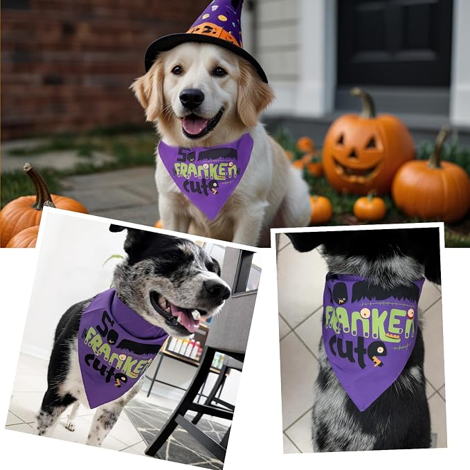 Halloween Dog Bandanas with So Franken Cute Sign, 5-30lbs Pet